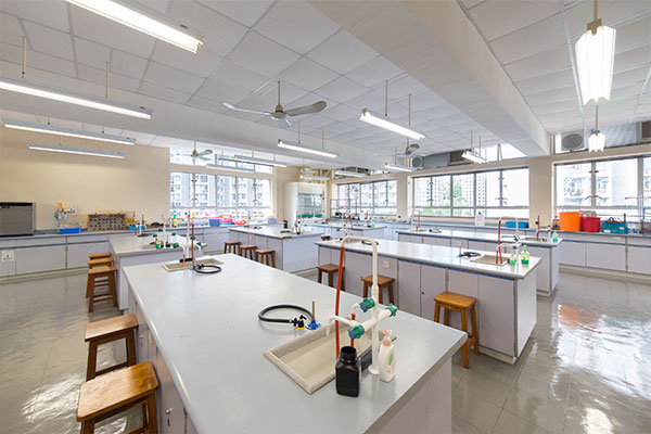 Labs
