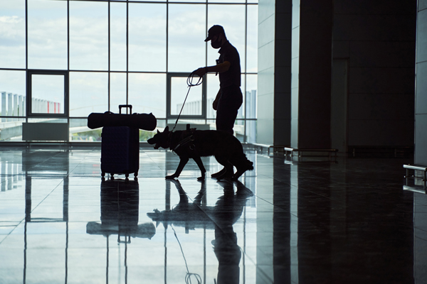 Security Dog